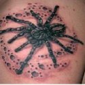 Örümcek Tattoo