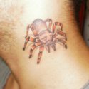 Örümcek Tarantula Tattoo