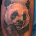 Panda Ayı Tattoo