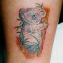 Panda Ayı Tattoo