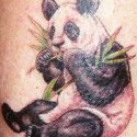 Panda Ayı Tattoo