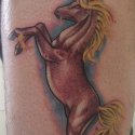 Pegasus Tattoo