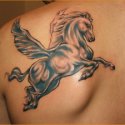 Pegasus Tattoo