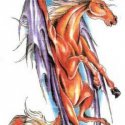 Pegasus At