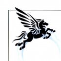 Pegasus Tribal