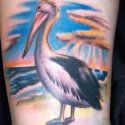 Pelikan Tattoo