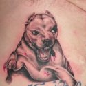 Pitbull Tattoo