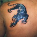 Puma Tattoo