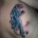 Puma Tattoo