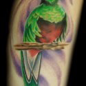 Renkli Kuş Tattoo