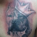 Şampiyon Köpek Tattoo