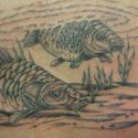 Sazan Balık Tattoo