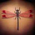 Sivrisinek Tattoo