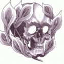 Skull Kurukafa