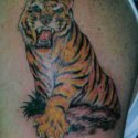 Tiger Tattoo