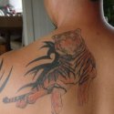 Tiger Tribal Tattoo