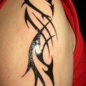 Tribal Tattoo