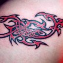 Tribal Tattoo