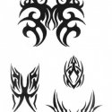Tribal
