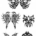 Tribal