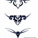 Tribal