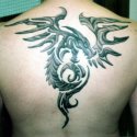 Tribal Dragon Tattoo