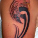 Tribal Kartal Tattoo