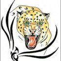 Tribal Leopar