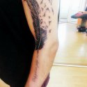 Yazı Kuş Tüy Tattoo