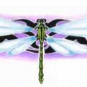 Yusufçuk Dragon Fly Tribal