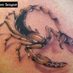 Akrep Tattoo