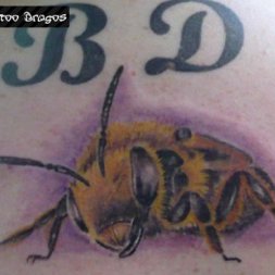 Bal Arısı Tattoo