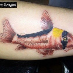 Balık Tattoo