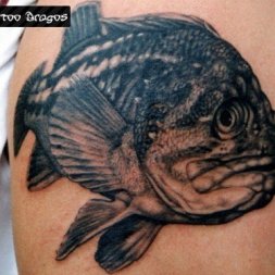 Balık Pirhana Tattoo