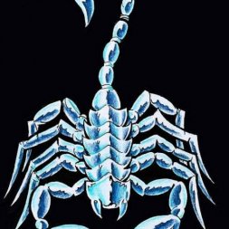 Bleu Akrep Scorpion