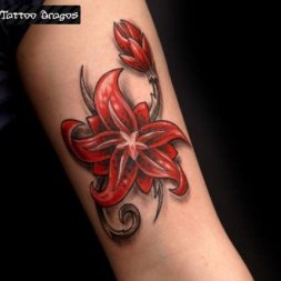 Çiçek Tattoo