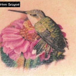 Çulluk Kuş Tattoo