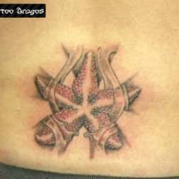 Denizyıldızı Tattoo