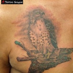 Doğan Yırtıcı Kuş Tattoo