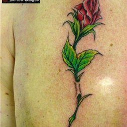 Gül Gonca Tattoo