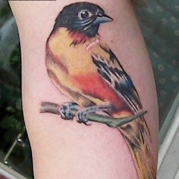 İspinoz Kuş Tattoo