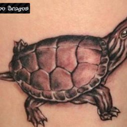 Kaplumbağa Tattoo