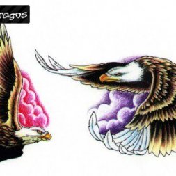 Kartal
