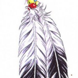 Kartal Tüyü