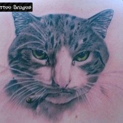 Kedi Tattoo