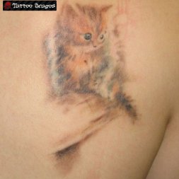 Kedi Tattoo