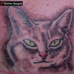 Kedi Tattoo