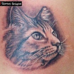 Kedi Tattoo