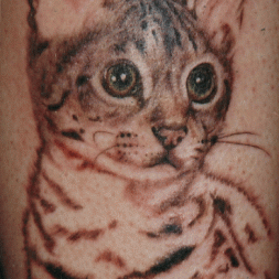 Kedi Tattoo