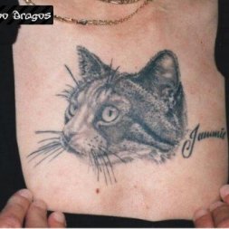 Kedi Tattoo